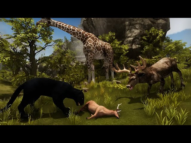 Ultimate Panther Simulator (By Yamtar Simulator Games) - Full Gameplay [4K 60FPS Max Settings]