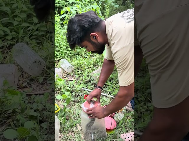 Wildlife video 🐍🫰