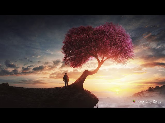 Healing Instant Calm, Beautiful Relaxing Music for Sleep, Stress and Anxiety Relief ★ 47