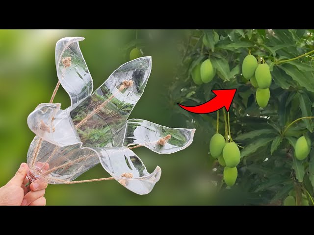 15 Brilliant Ideas From Plastic Bottles! Don't Throw Away Empty Bottles!!!