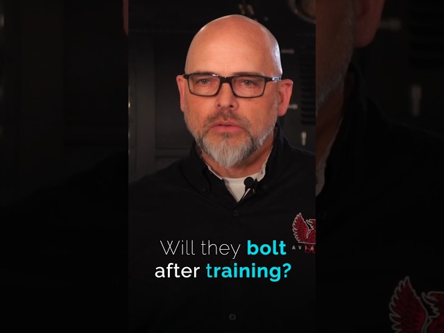 Will They Bolt After Training?
