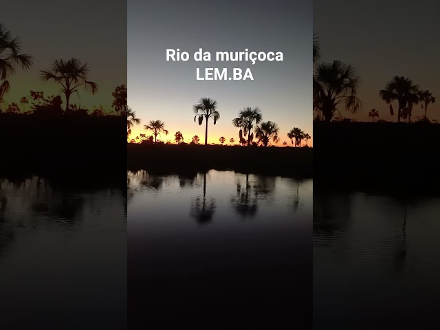 #viagemsozinha