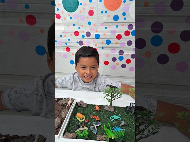 Dinosaur Fossils and Insect World          #shorts #short #kids