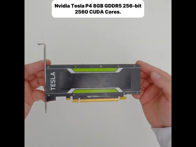 I tried Bazzite OS on an Nvidia Tesla P4, and the results shocked me!