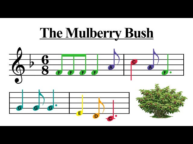 Easy Irish Orff Play Along ☘️ F Major | 6/8