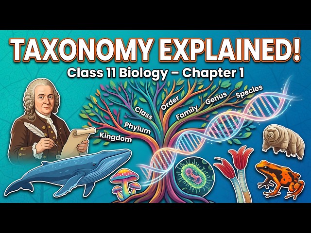 Explanation of Living World Class 11 Biology Chapter 1 Classification