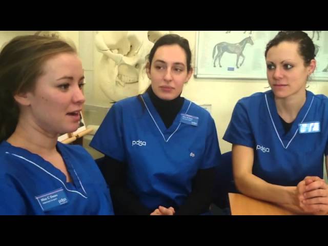 PDSA Veterinary Graduate Programme