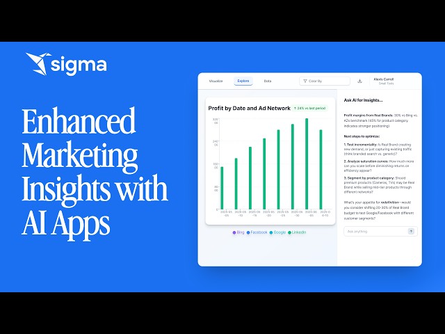 Leveraging Sigma AI Apps for Enhanced Marketing Insights and Customer Segmentation | Demo
