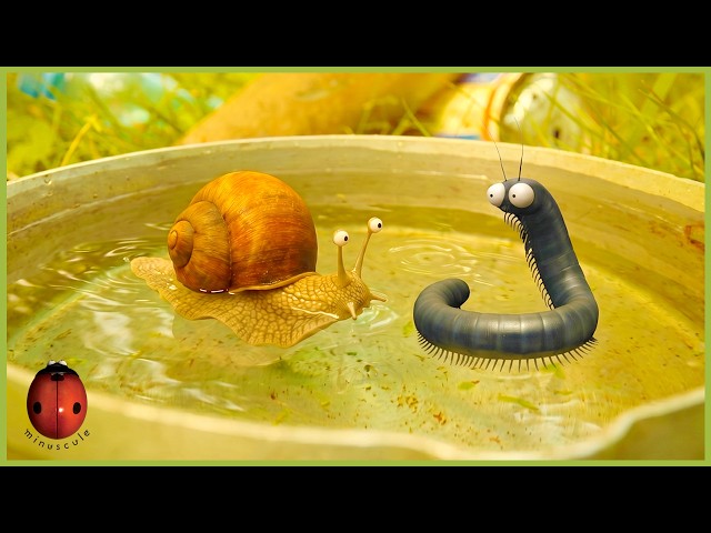 The Long Road | Minuscule | 25' Compilation