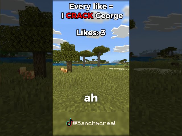 Minecraft but I CRACK George if you like the video