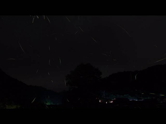 2014.06.19 とある岐阜の川べりでホタルトレイル