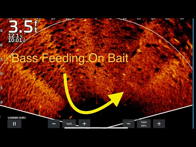 Garmin Livescope Perspective Mode: What Are We Seeing?!?!?