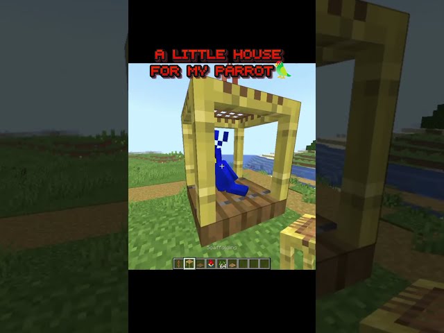 The Cutest House for My Parrot! 🦜✨ #shorts #minecraft
