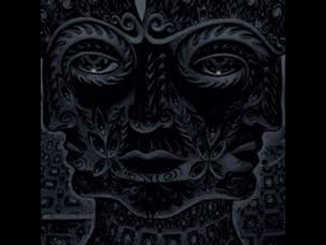 The Brilliance of "Vicarious" (Tool) | Barracuda Breakdowns