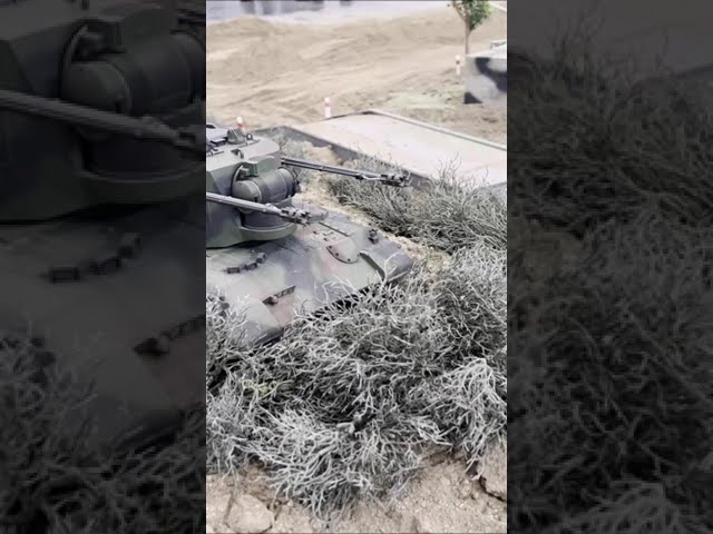 Gepard macht kein Dauerfeuer 🤣. #bundeswehr #dauerfeuer #gepard #rc #shorts #rctank #panzer