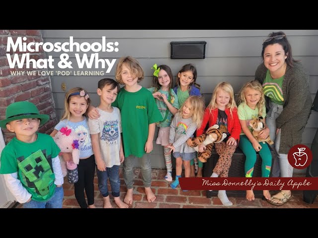 What Is Microschooling Or 'Pod' Learning? (& Why We Love It!)