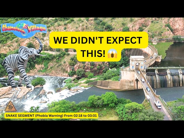Exploring Harties: A Quick Zoo Stop (🐍 Phobia Warning)| Dam Views| Chameleon Village.