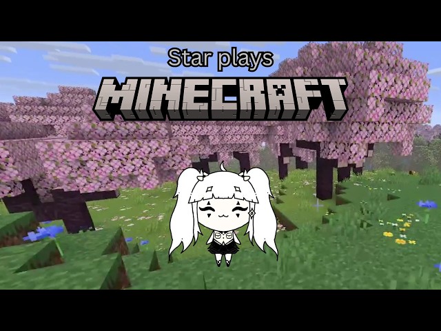 I play Minecraft Java edition for the first time ?!