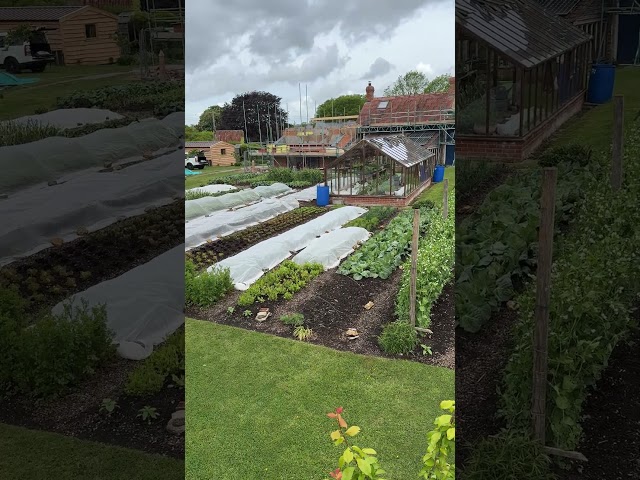 No Dig Market Garden View | 17th May 2026