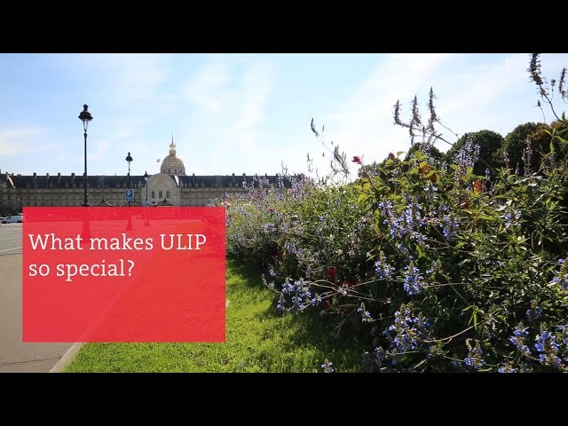 What Makes ULIP so Special