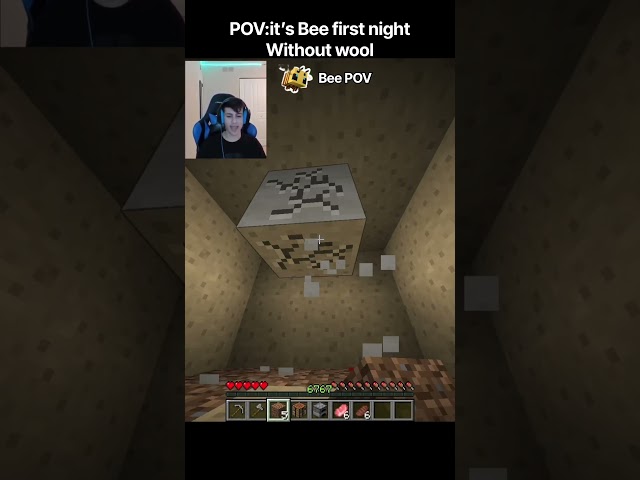 POV it’s bee first night ☠️