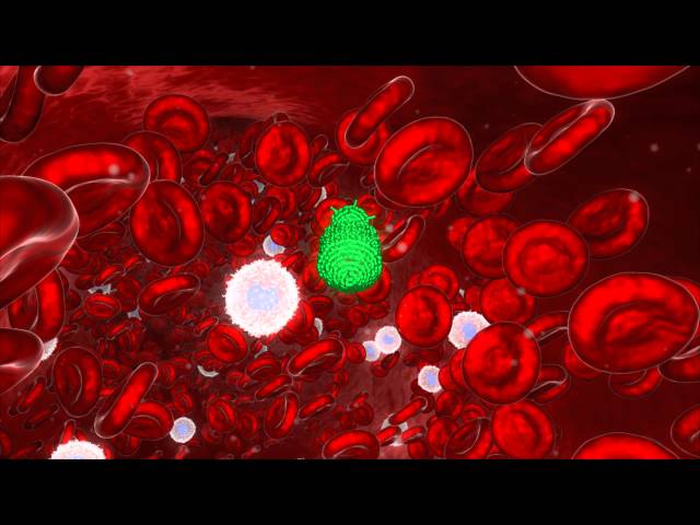 Prof. Douglas Hanahan, ISREC, EPFL "Translational Cancer Research"