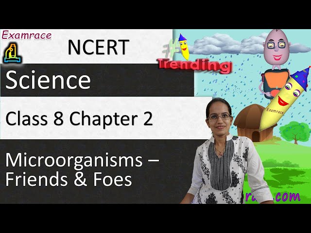NCERT Class 8 Science Chapter 2: Microorganisms – Friends and Foes (NSO/NSTSE/Olympiad) Examrace