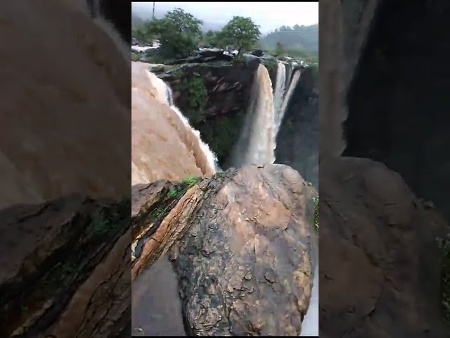 Jog waterfalls in Siddhapura, Karnataka.
