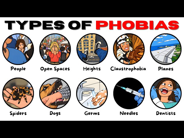 Every Phobia & How It Effects YOUR Life, Explained