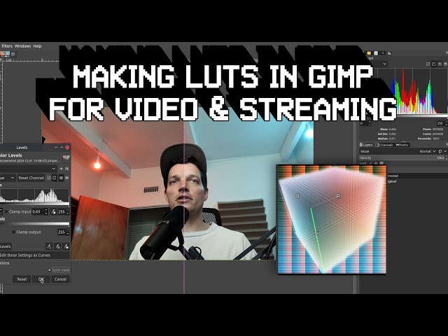 Make Your Own LUTs in GIMP for Streaming & Video Editing [GIMP, G'Mic, OBS]