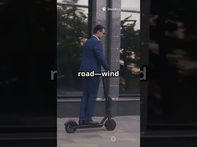 pigeon vs. scooter