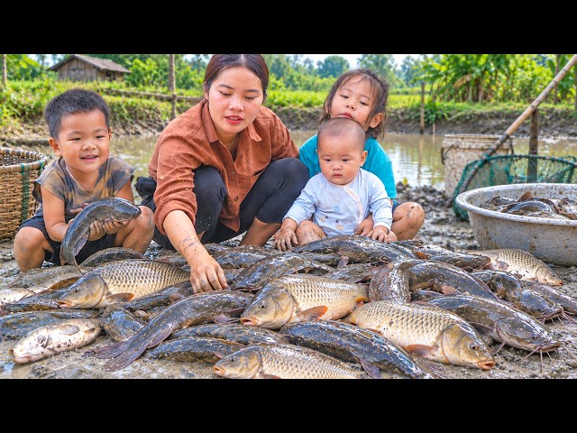 Damming the River for GIANT FISH! | Market Sales & Sweet Bananas for Kids | Village Life