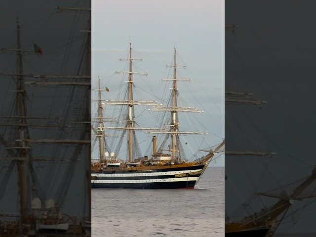 We Spotted a Pirate Ship in Atlantic Ocean