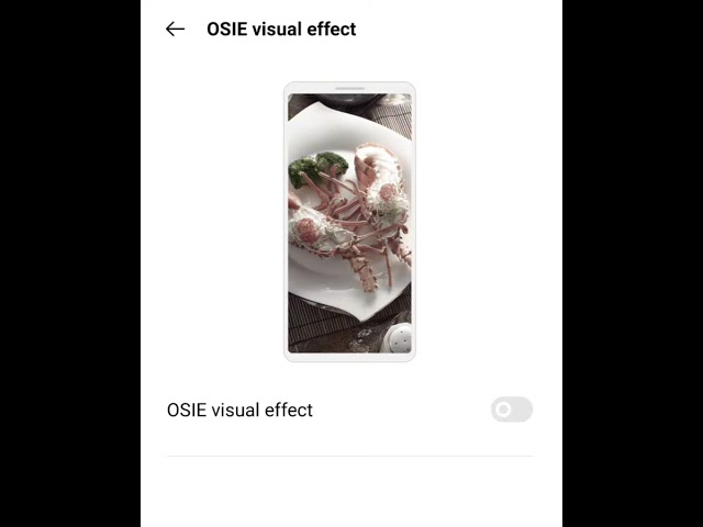 OSIE vision effect क्या है  What is OSIE Vision effect