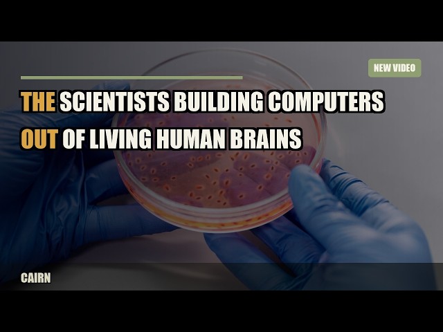 The Scientists Building Computers Out of Living Human Brains