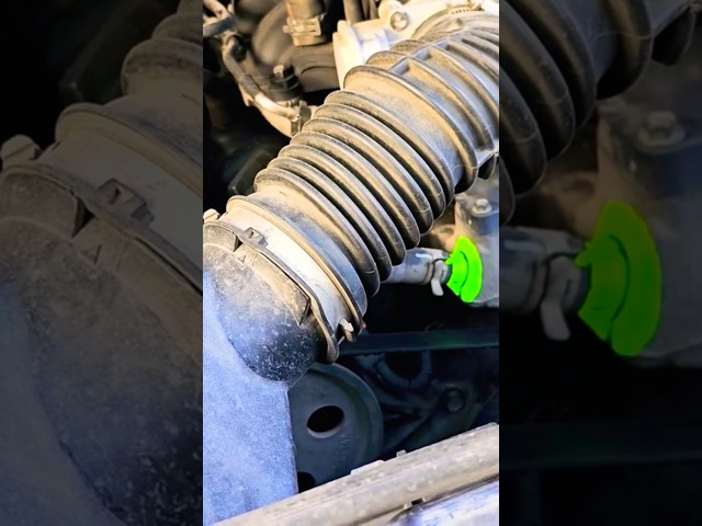Using the Olight ArkPro to Detect UV Dye. #automobile