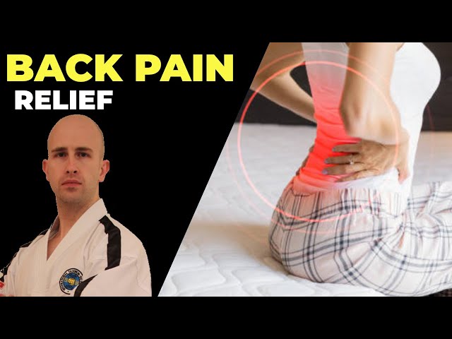 Exercises for Sciatic Nerve Pain and Lower Back Pain #Sciatica  #painrelief #backpain