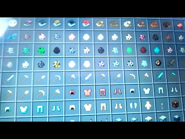 Playing mincraft