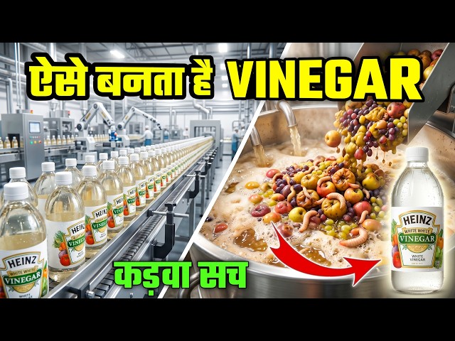 Vinegar कैसे बनता है? Factory का कड़वा सच 😳 | Vinegar Factory Process