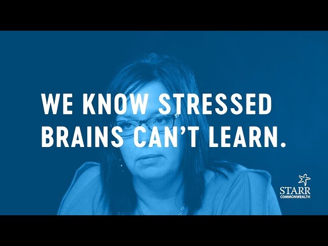 Trauma-Informed Resilient Schools