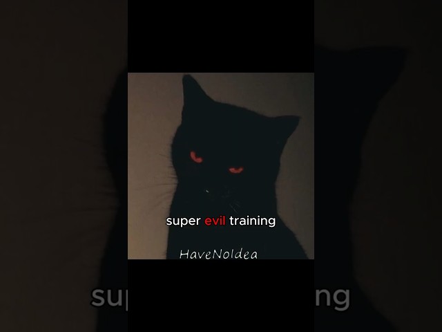 The third evil training for Jerry:         #larry #cat #fyp #viral #short #catmeme #meme #evillarry