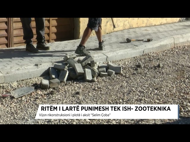Ritëm i lartë punimesh tek ish Zooteknika