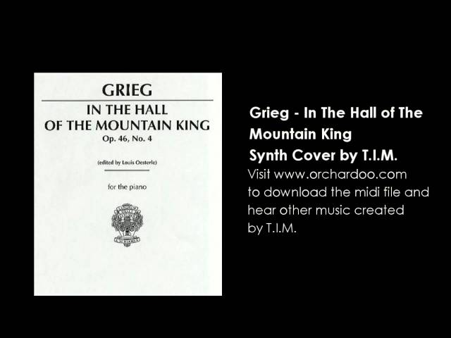 T.I.M. - In The Hall of the Mountain King (Grieg Cover)
