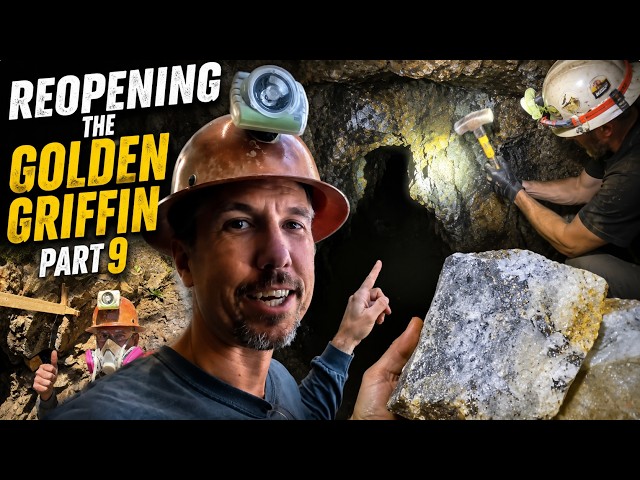 Breaking Into the Richest Vein Yet—Visible Gold Everywhere!! Golden Griffin Season 2, Part 9