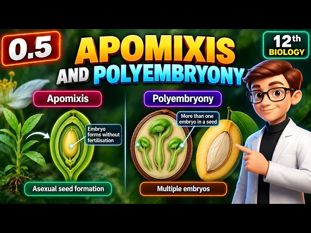 Apomixis and Polyembryony | Sexual Reproduction in Flowering Plants | Class 12 Biology
