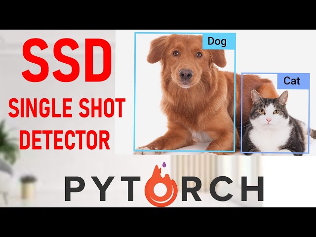 Pytorch Object Detection Using SSD Model. Object Detection Using Pytorch.#pytorch #ai #ml #tech