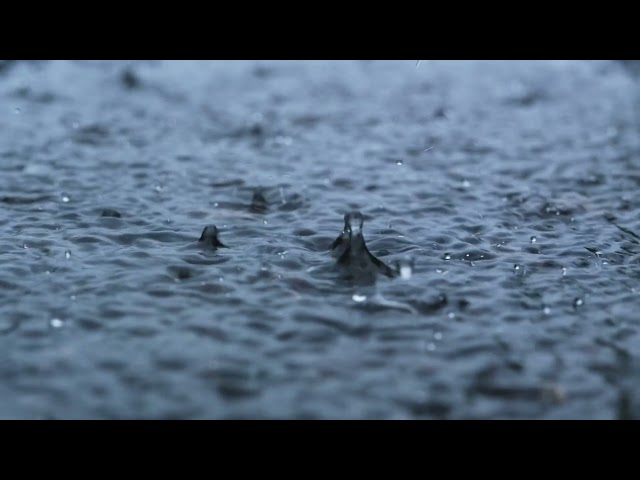 SOOTHING RAIN SOUNDS FOR SLEEP | FALL ASLEEP IN 2 MINUTES | SOUND MACHINE