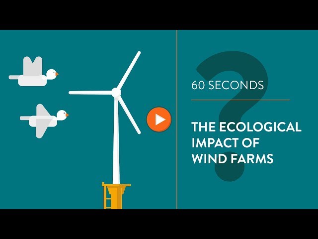 Ecological impact of wind turbines - IN 60 SECONDS