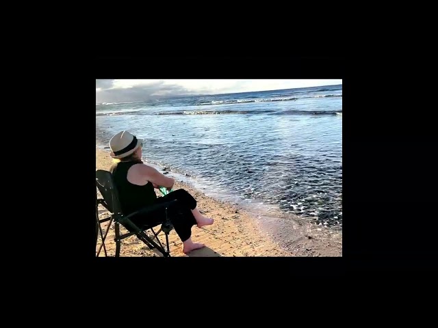 Unknowable Stories of Driftwood, Video #3