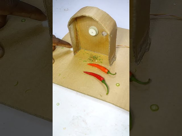 Chilli cutting tool diy 🌶️ #chilimachine #project #dcmotor #youtubeshorts #shorts